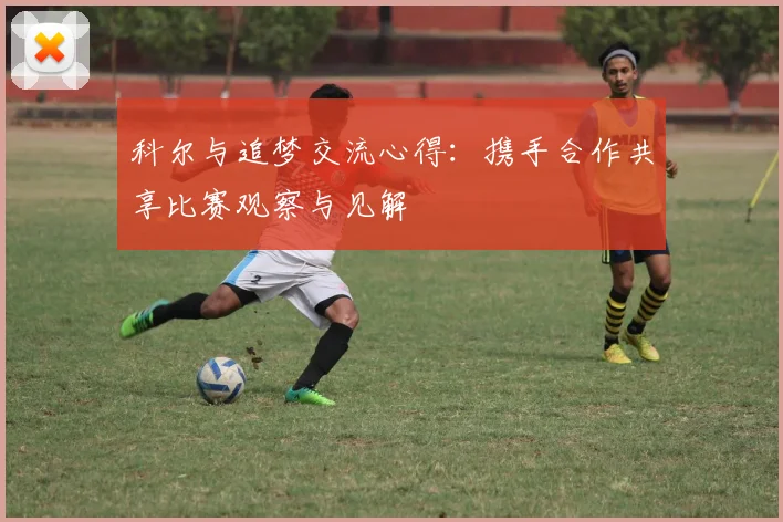 科尔与追梦交流心得：携手合作共享比赛观察与见解