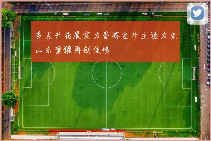 多点开花展实力香港金牛主场力克山东蜜獾再创佳绩